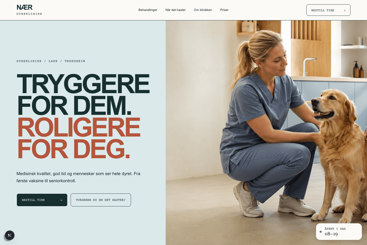 Skjermbilde av forsiden til demonettsiden NÆR Dyreklinikk