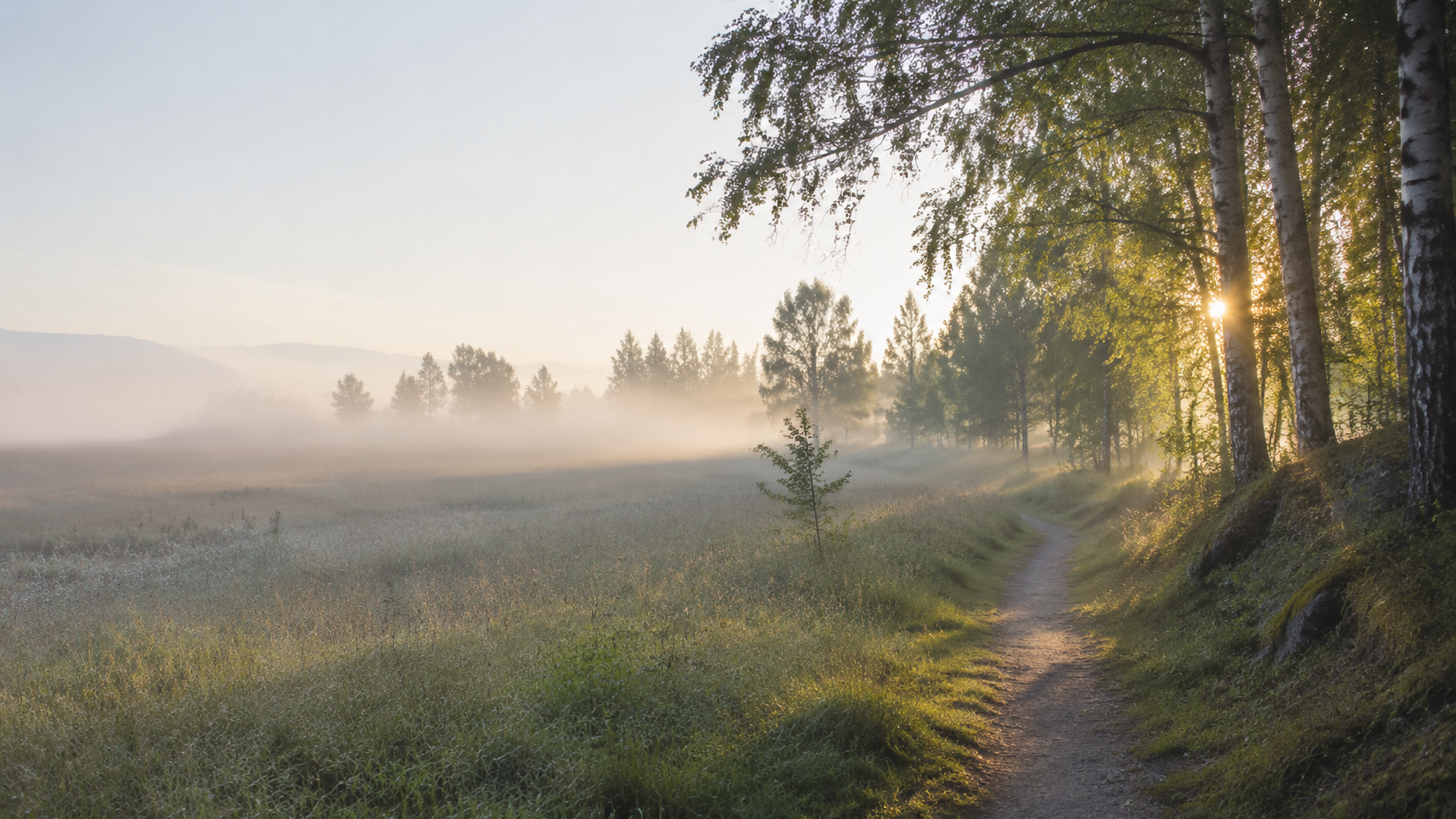 Morgensol over en stille trøndersk eng og bjørkeskog